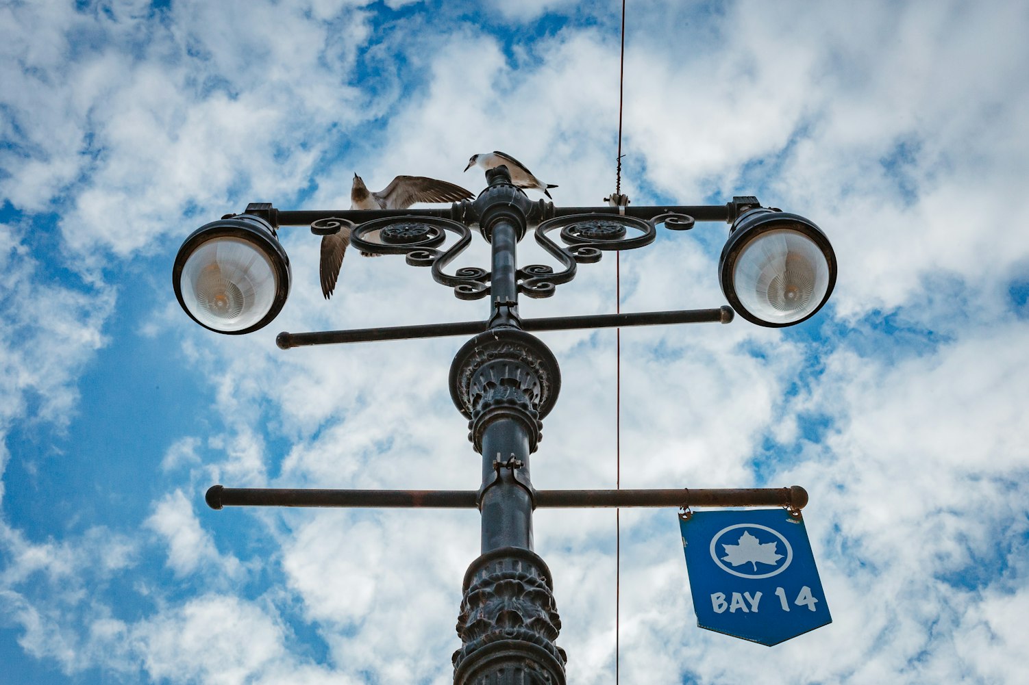 新比赛项目,探索与突破的挑战之路