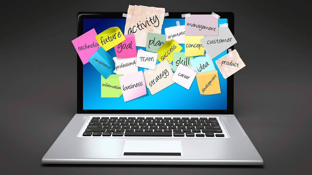 大白app官方版深度解析,功能、特点与价值探索