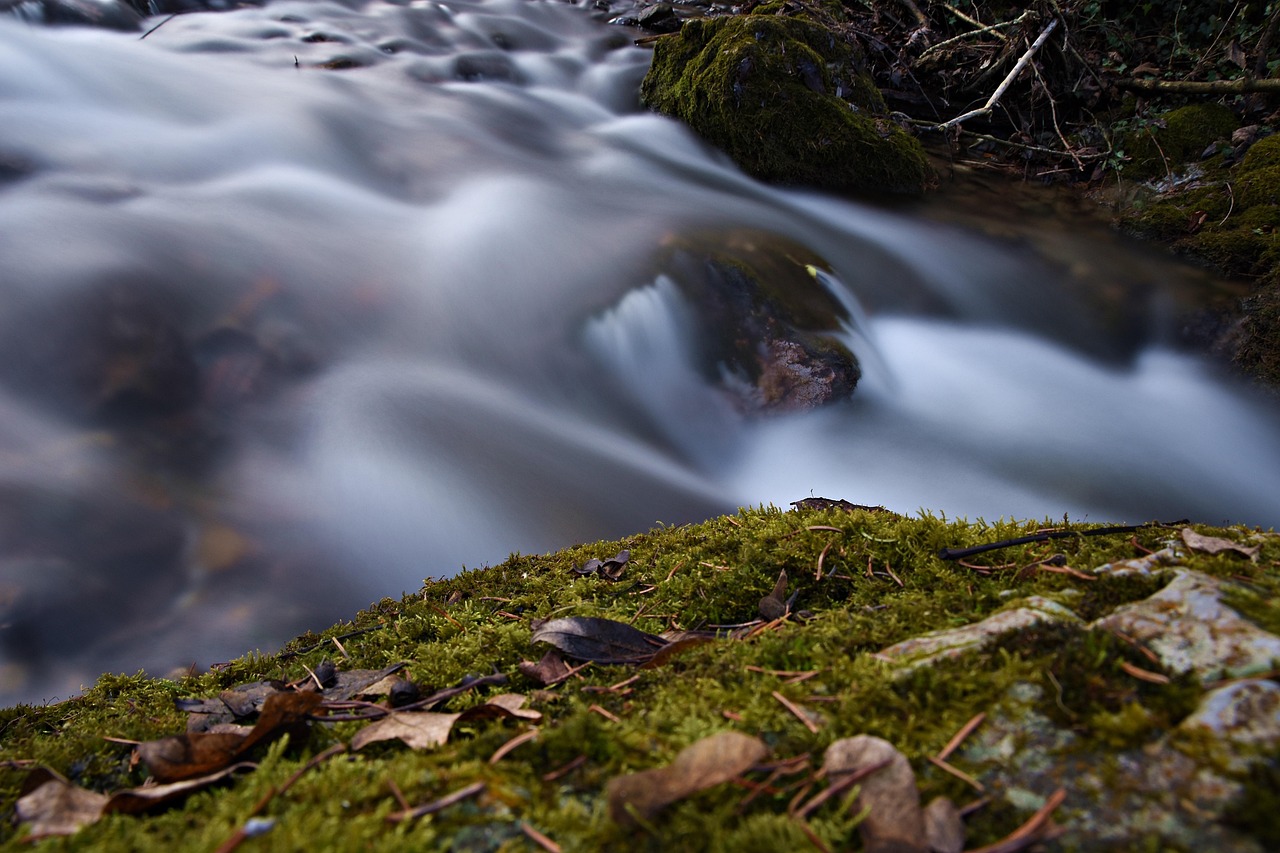 宋承宪最新动态揭秘，揭开明星生活的神秘面纱。