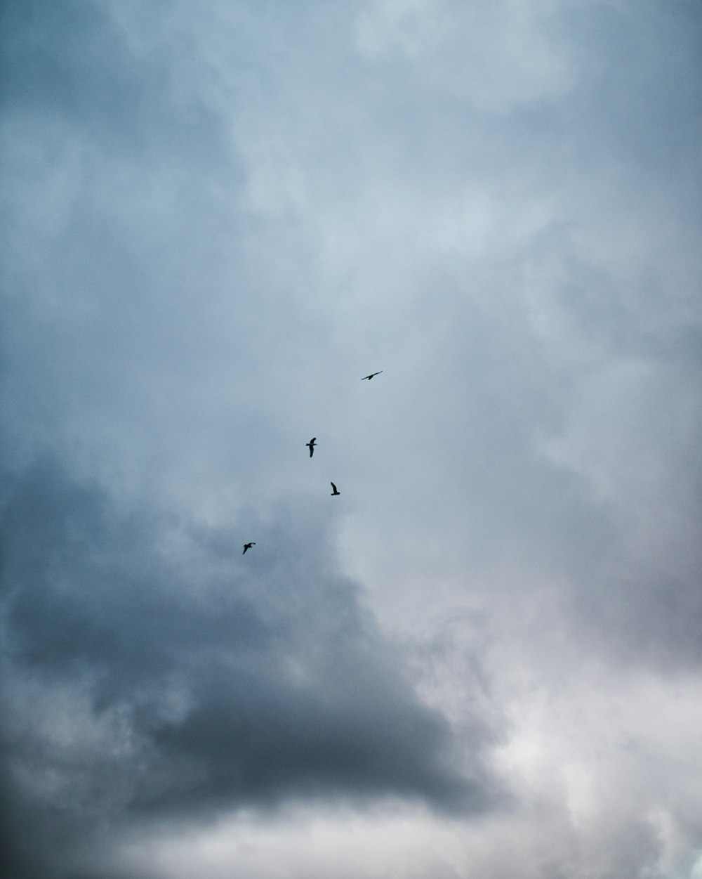 渭南复工复产动态更新,蓄势待发,活力再现的进展报告