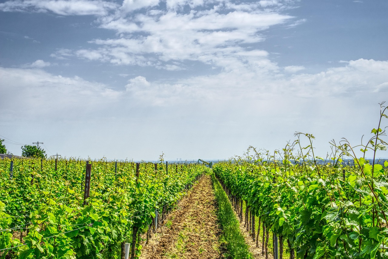 黄土塘电厂最新动态报道