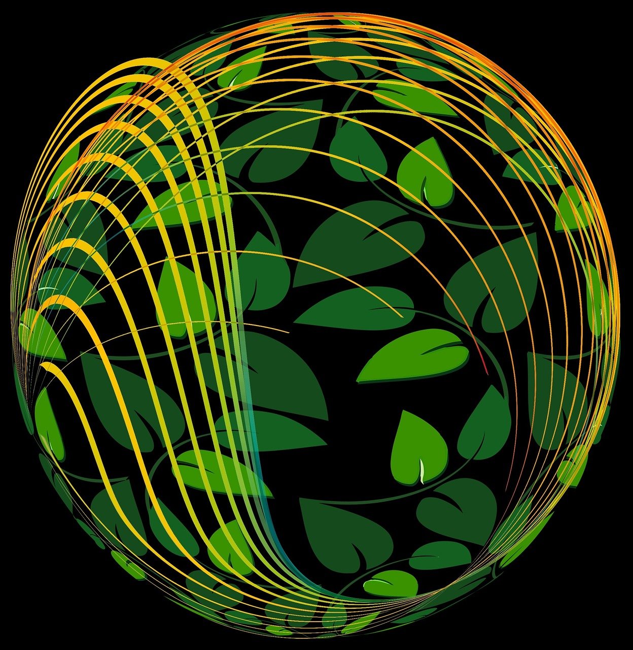 气象现象与环境保护,探讨大风天气的影响与挑战