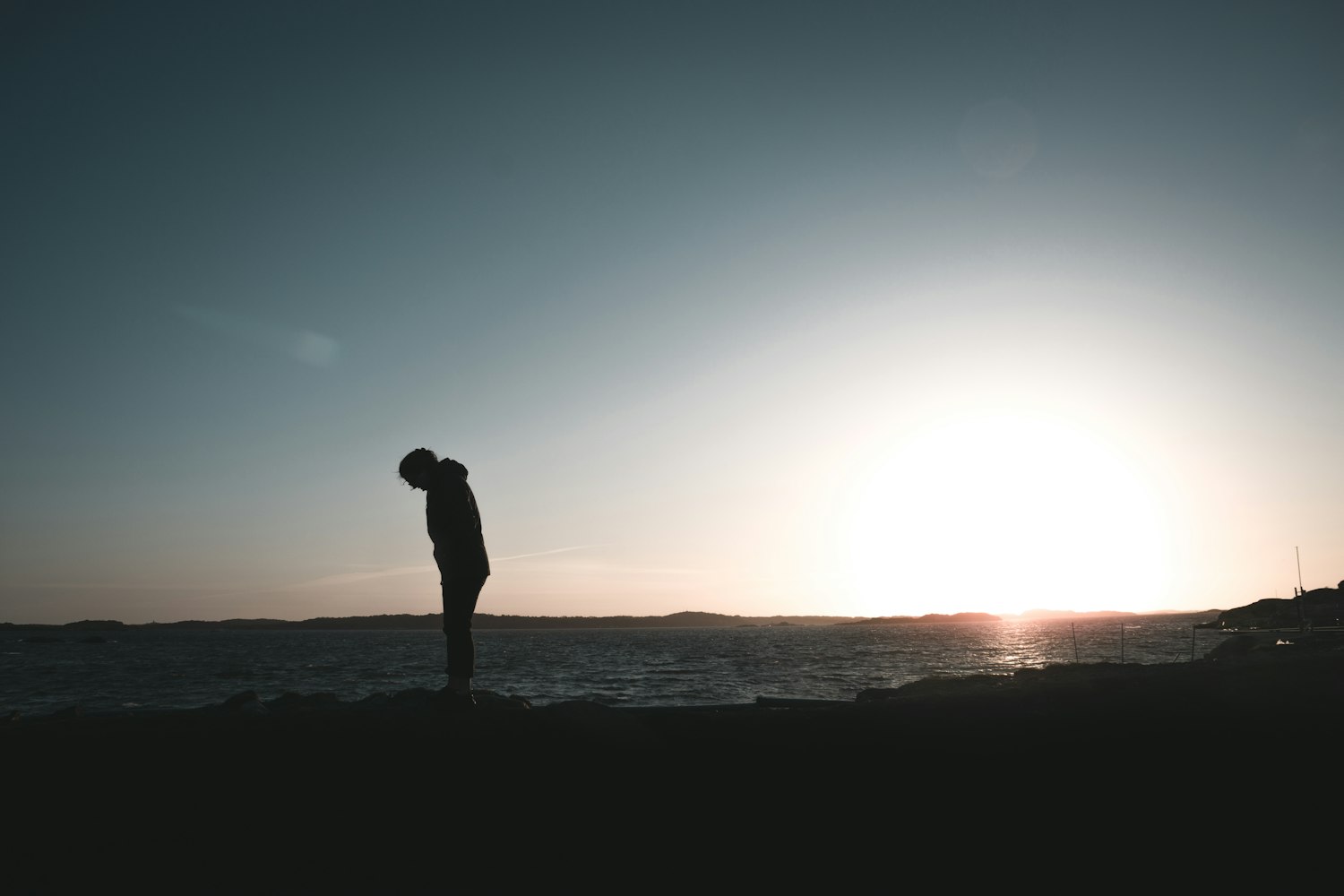 柳强强最新单曲,音乐之旅的全新启程启动!