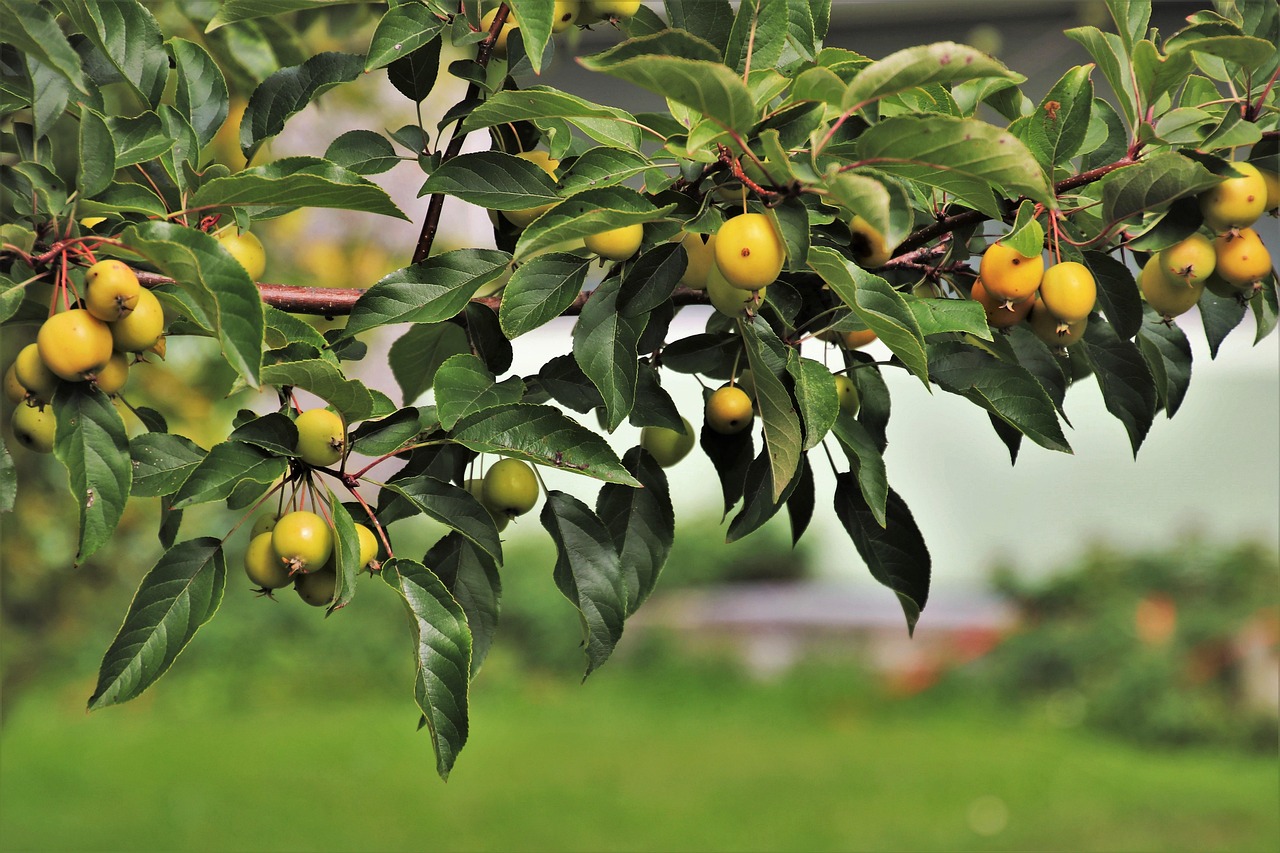 前鲜村蜕变揭秘,最新动态下的乡村新面貌