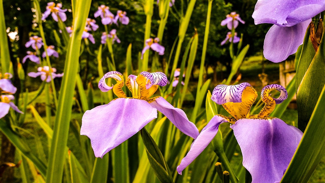 赵丽颖恋情新动态揭晓，星光下的浪漫爱情故事
