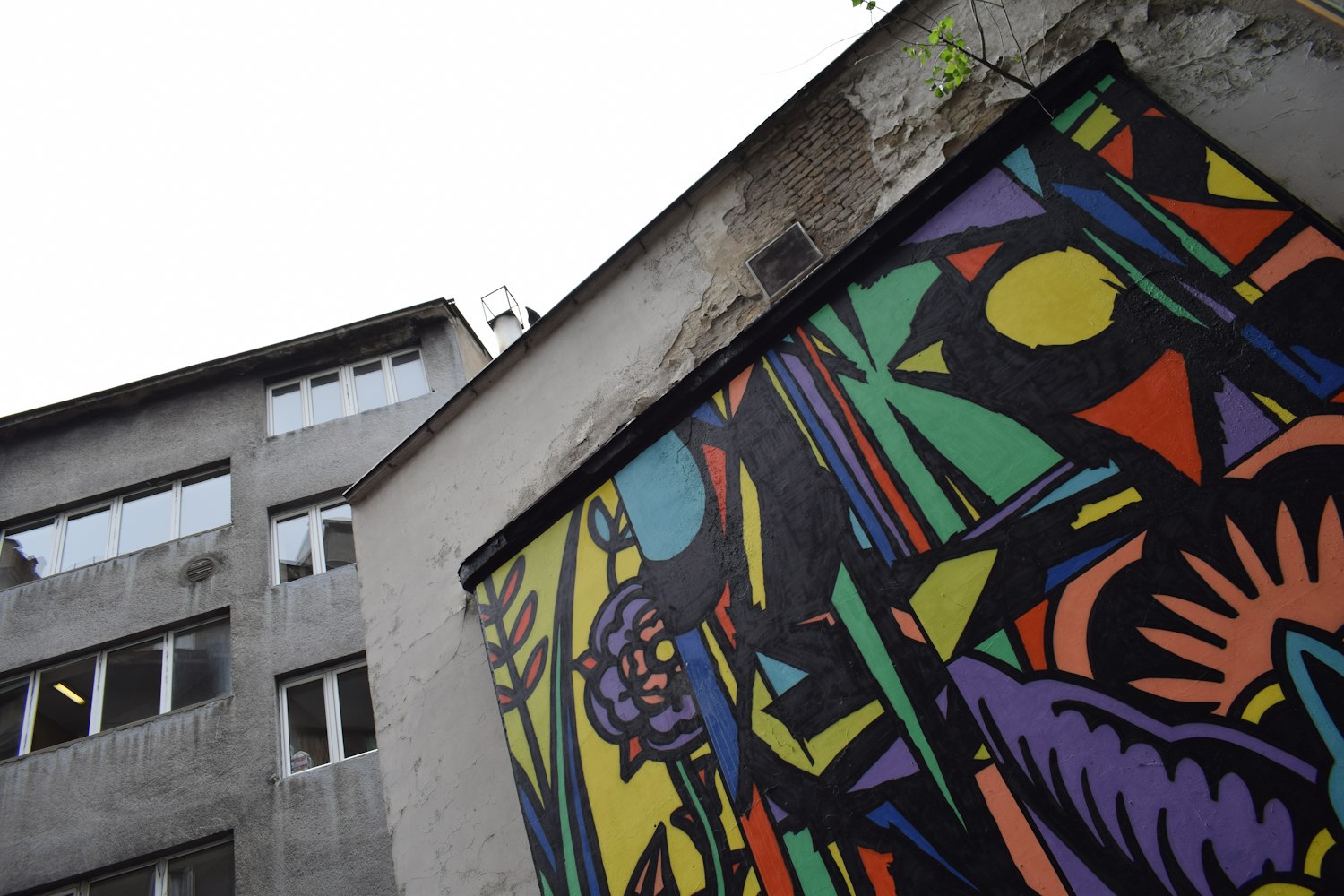 康有为比赛,历史与现代的竞技交融舞台