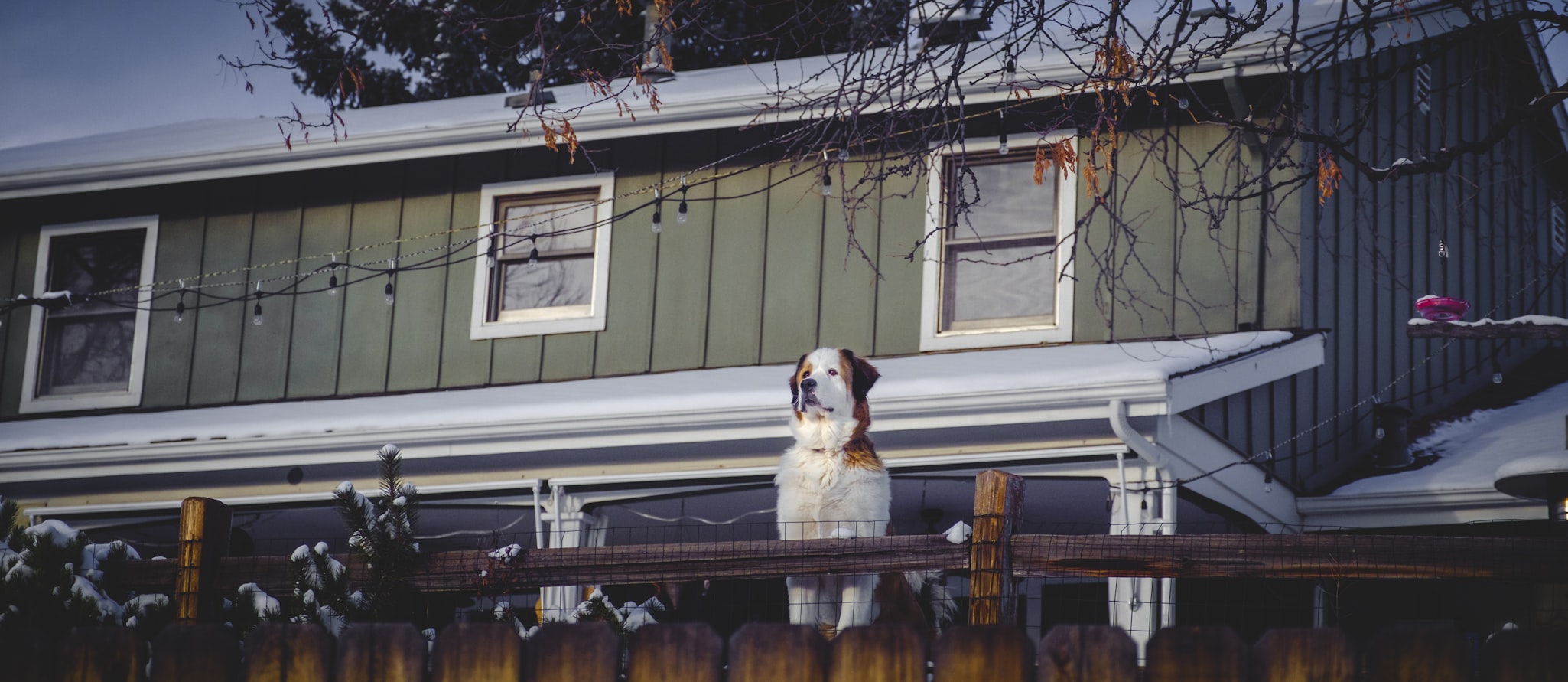 句容花语墅最新资讯,开启美好生活的序章