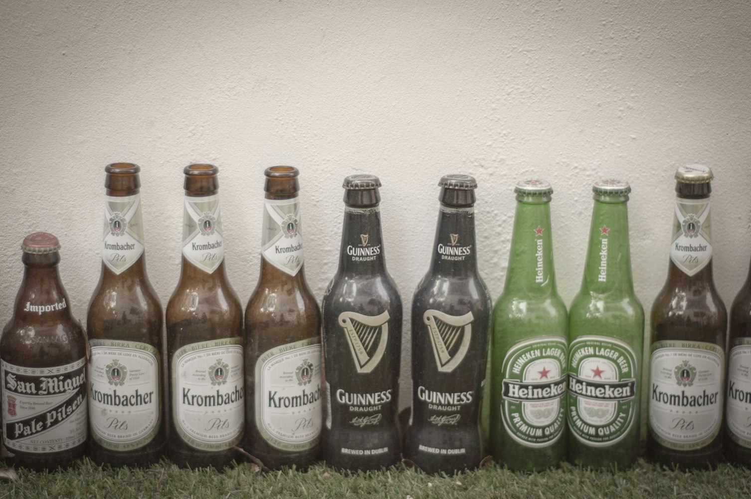 看门狗与酒,别开生面的比赛盛宴玩转喝酒比赛