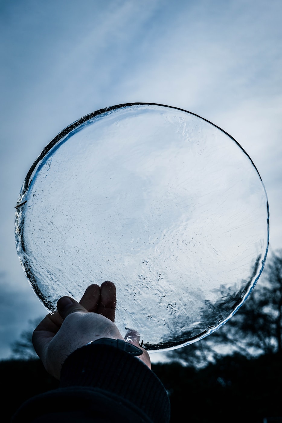 引领未来潮流变革,最新趋势动态速递