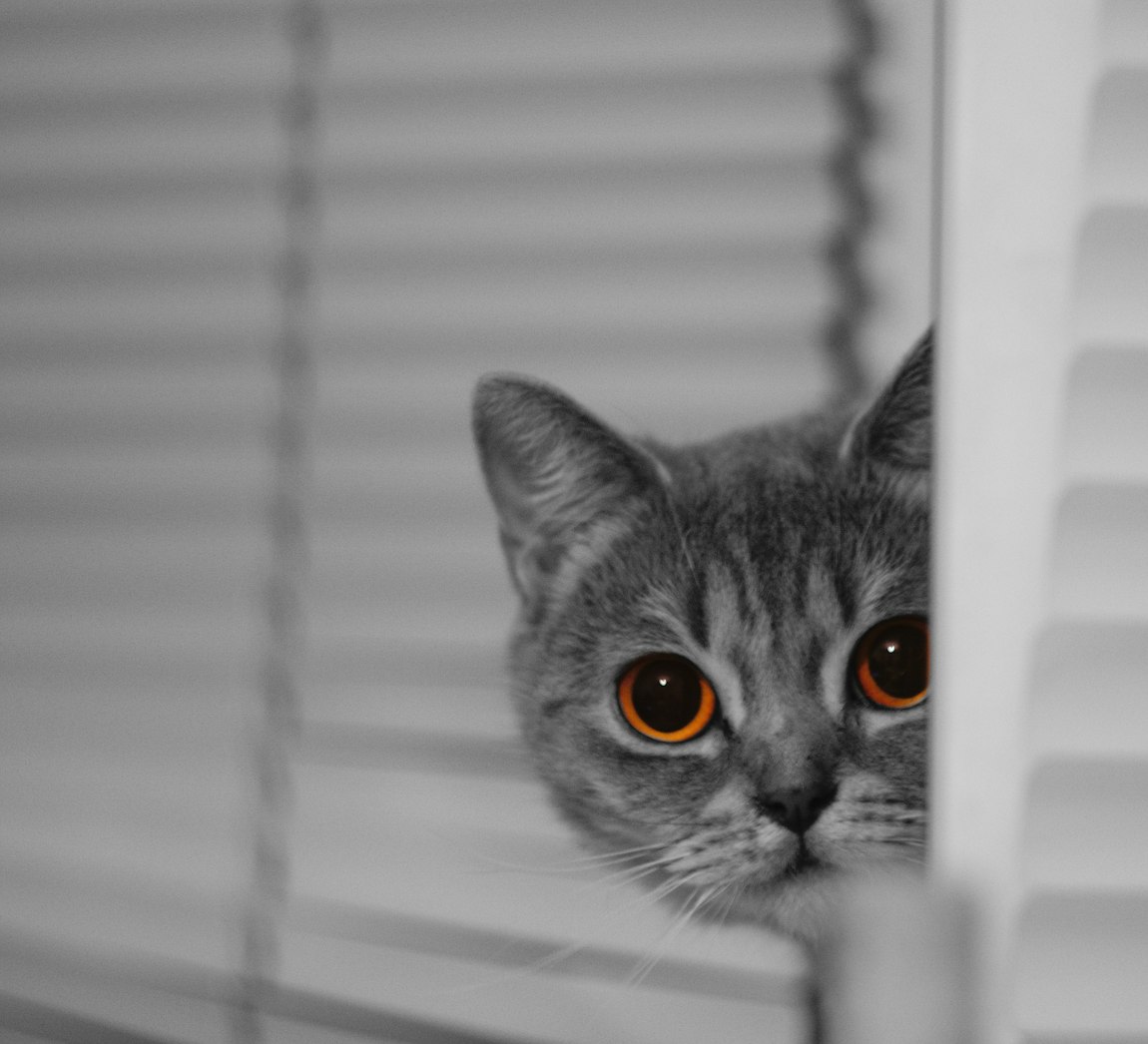 少荃湖最新动态,生态发展与城市建设的和谐共振