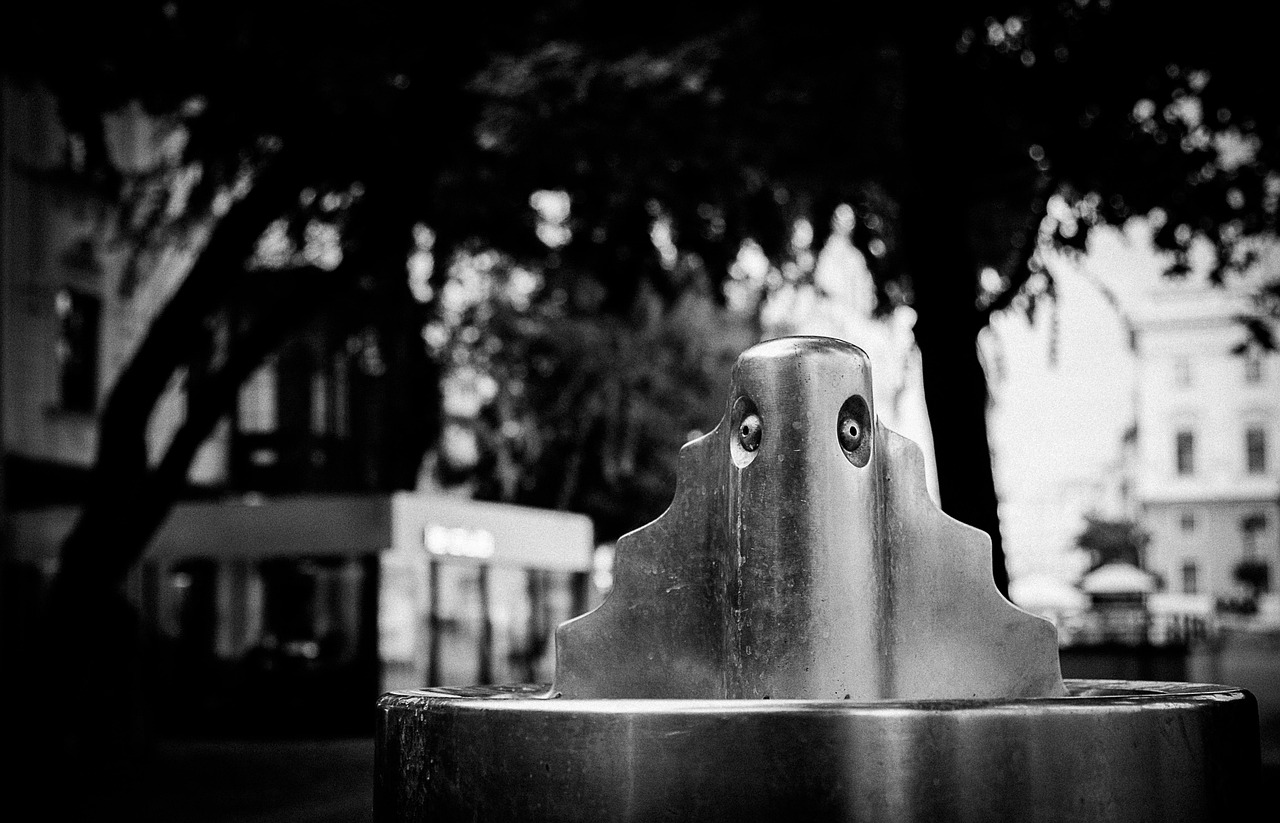 念坛公园焕发新生,最新动态展现城市绿肺之美