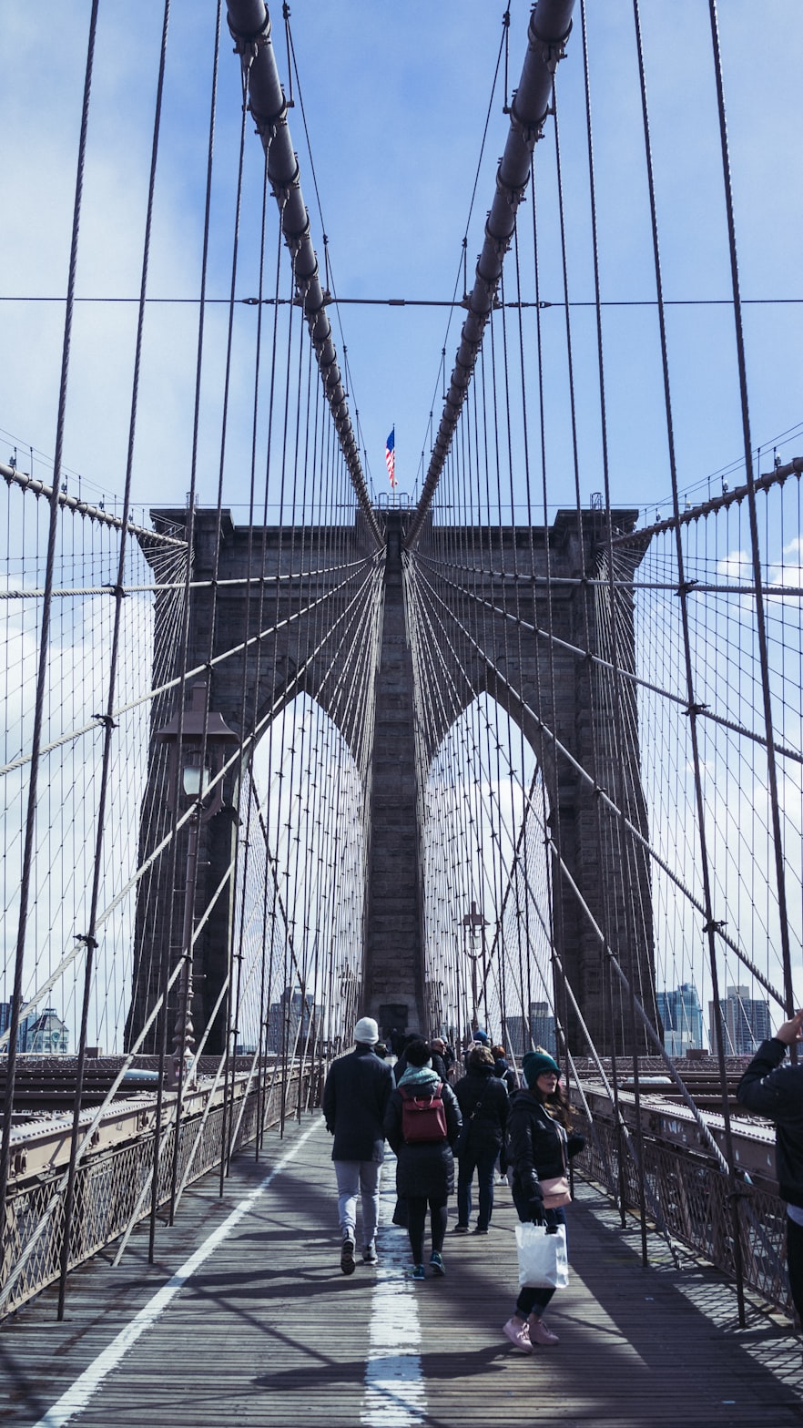 图书馆资讯速递,探索知识的宝库,连接信息的桥梁