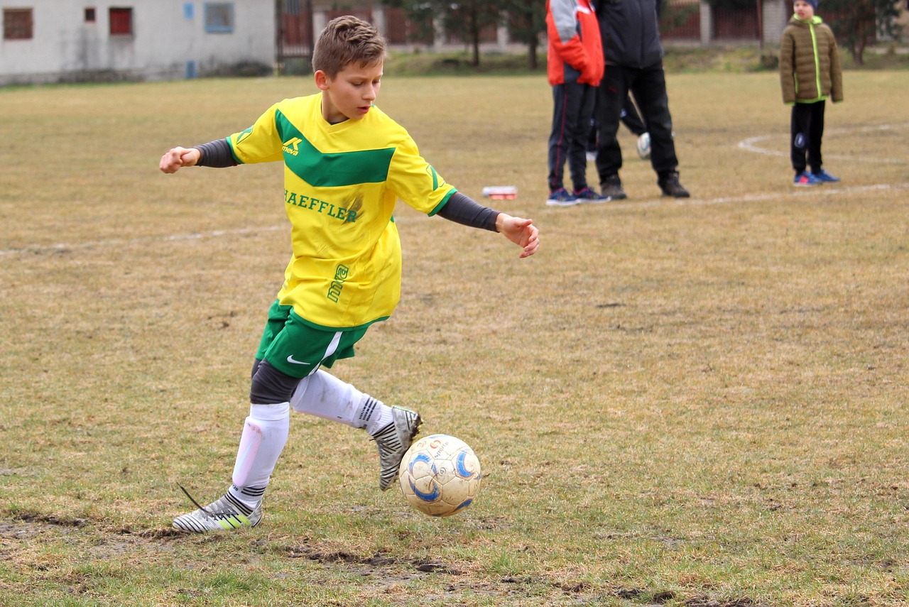 世界杯赛事,热血与荣耀的赛场篇章,多少场比赛铸就辉煌?