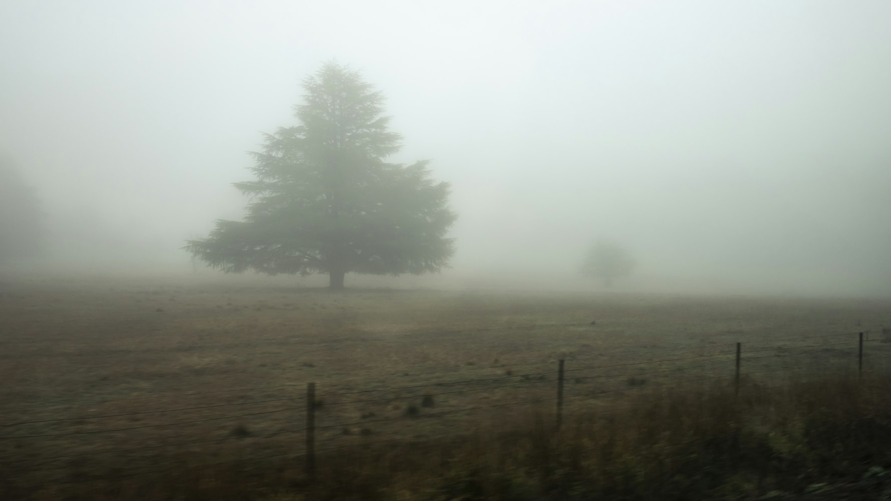 僵尸电影之旅,银幕荧屏的恐怖盛宴