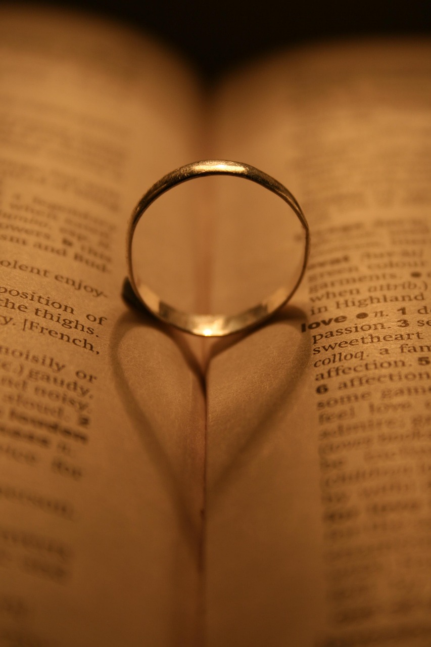 最新情侣头像,甜蜜瞬间的绽放与永恒的爱