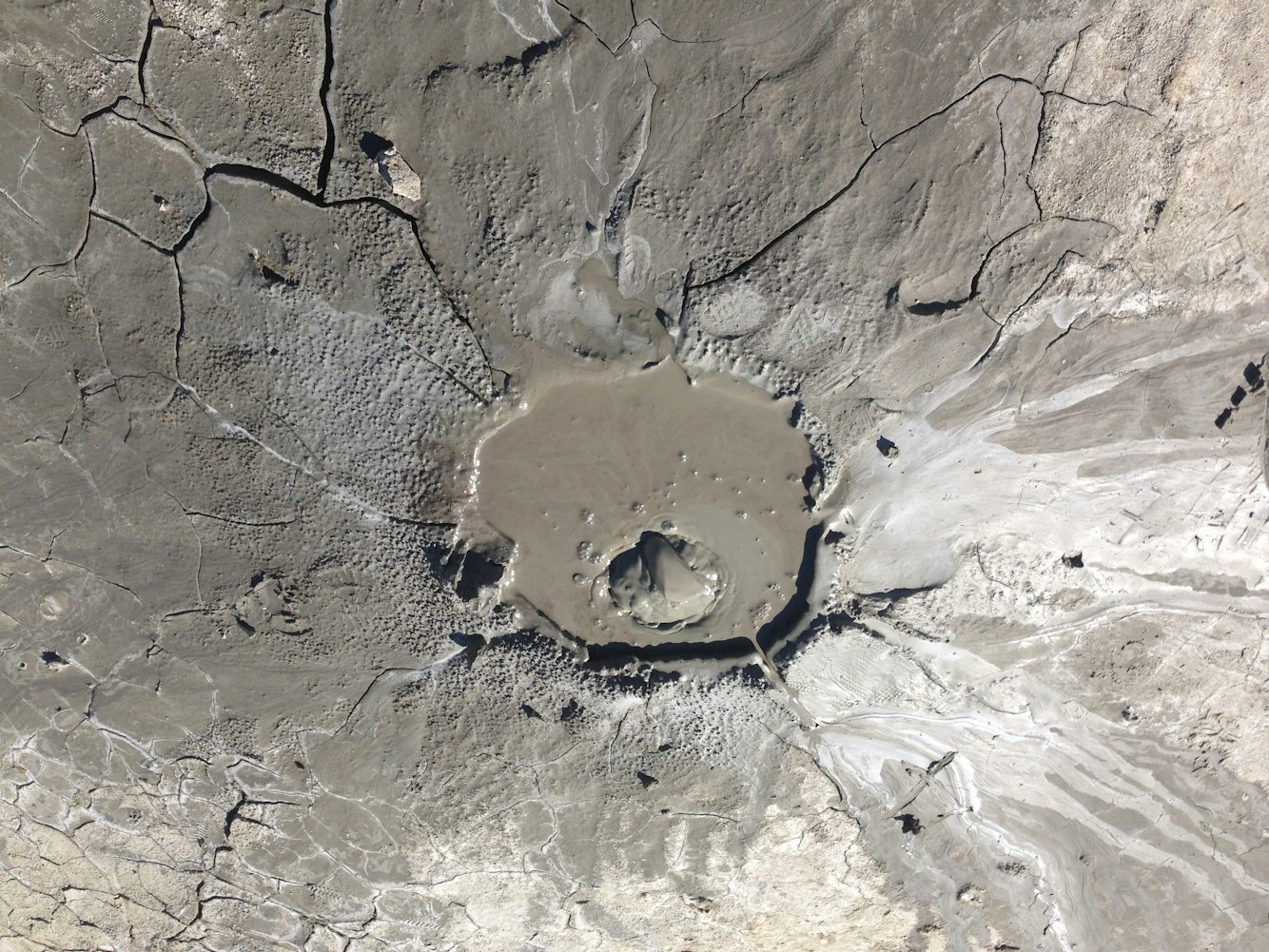 景宁县最新人事任免动态公布