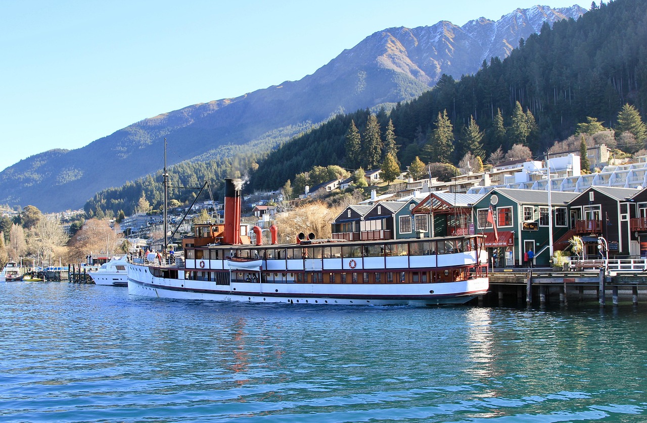 中国反乐天动态,深度解析与反思