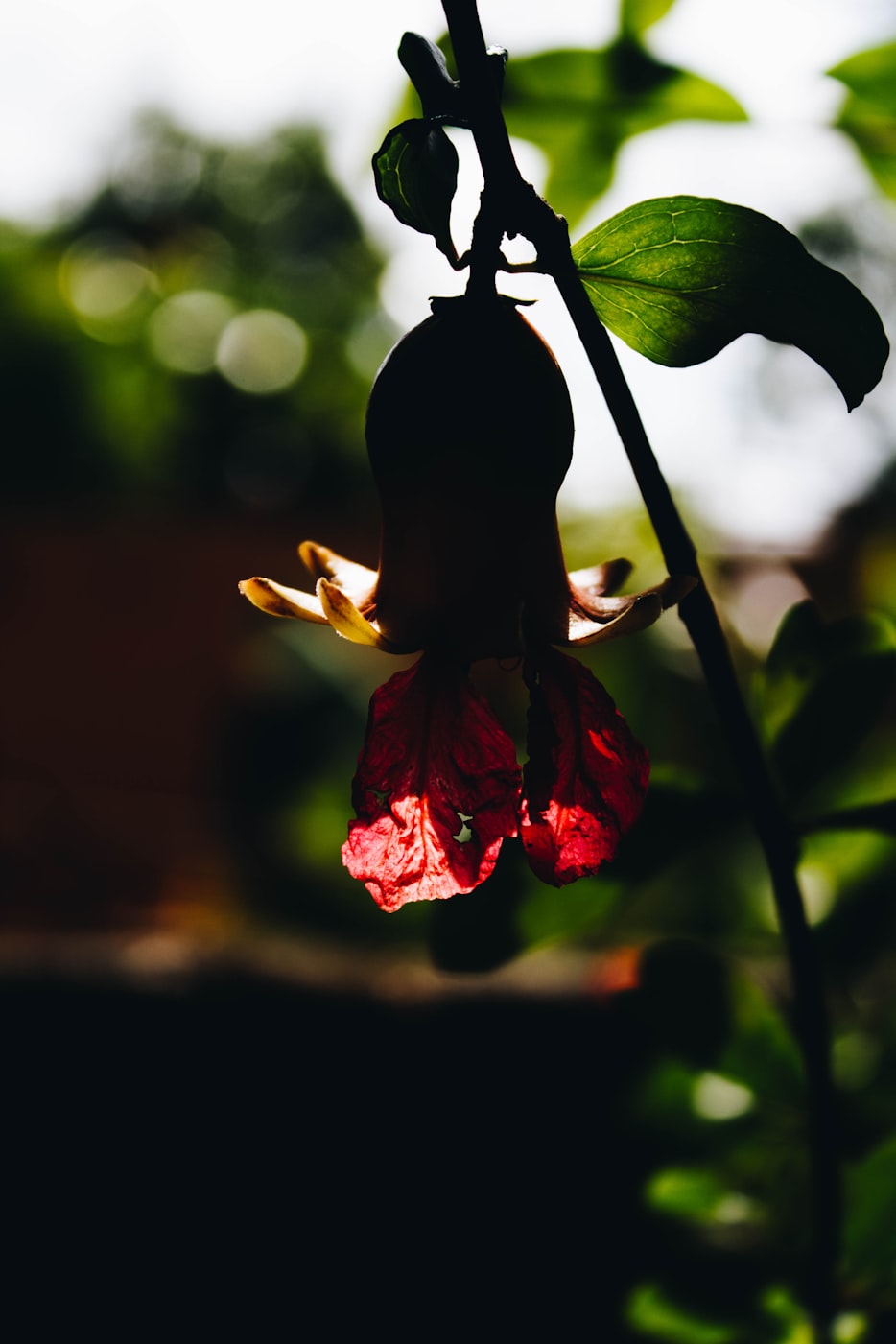 保定东湖天地最新动态揭秘,城市新地标的发展脉络与未来展望