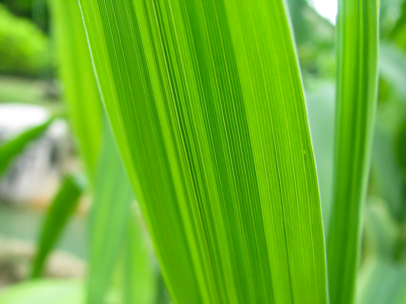 保定东湖天地最新动态揭秘,城市新地标的发展脉络与未来展望