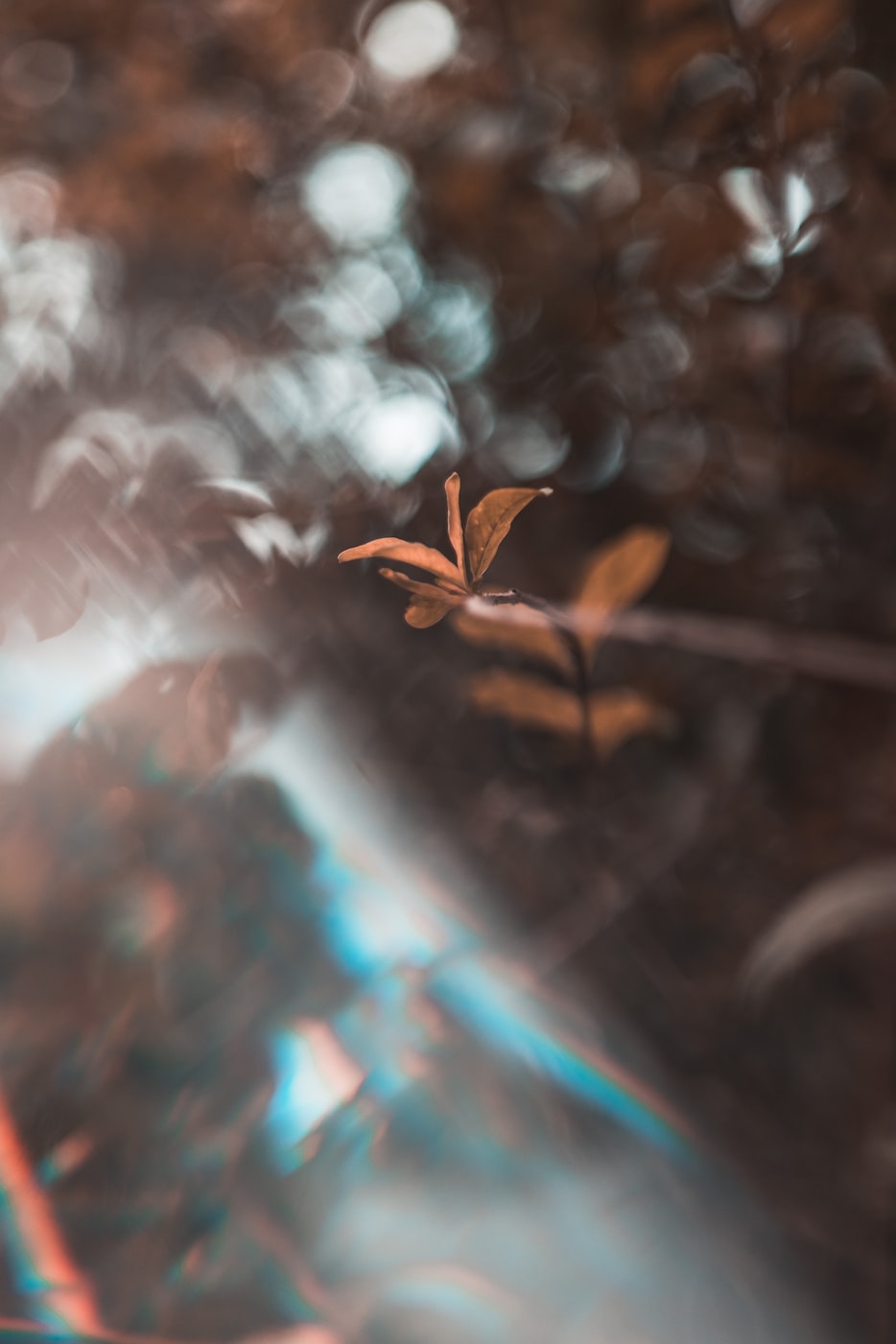 保定东湖天地最新动态揭秘,城市新地标的发展脉络与未来展望