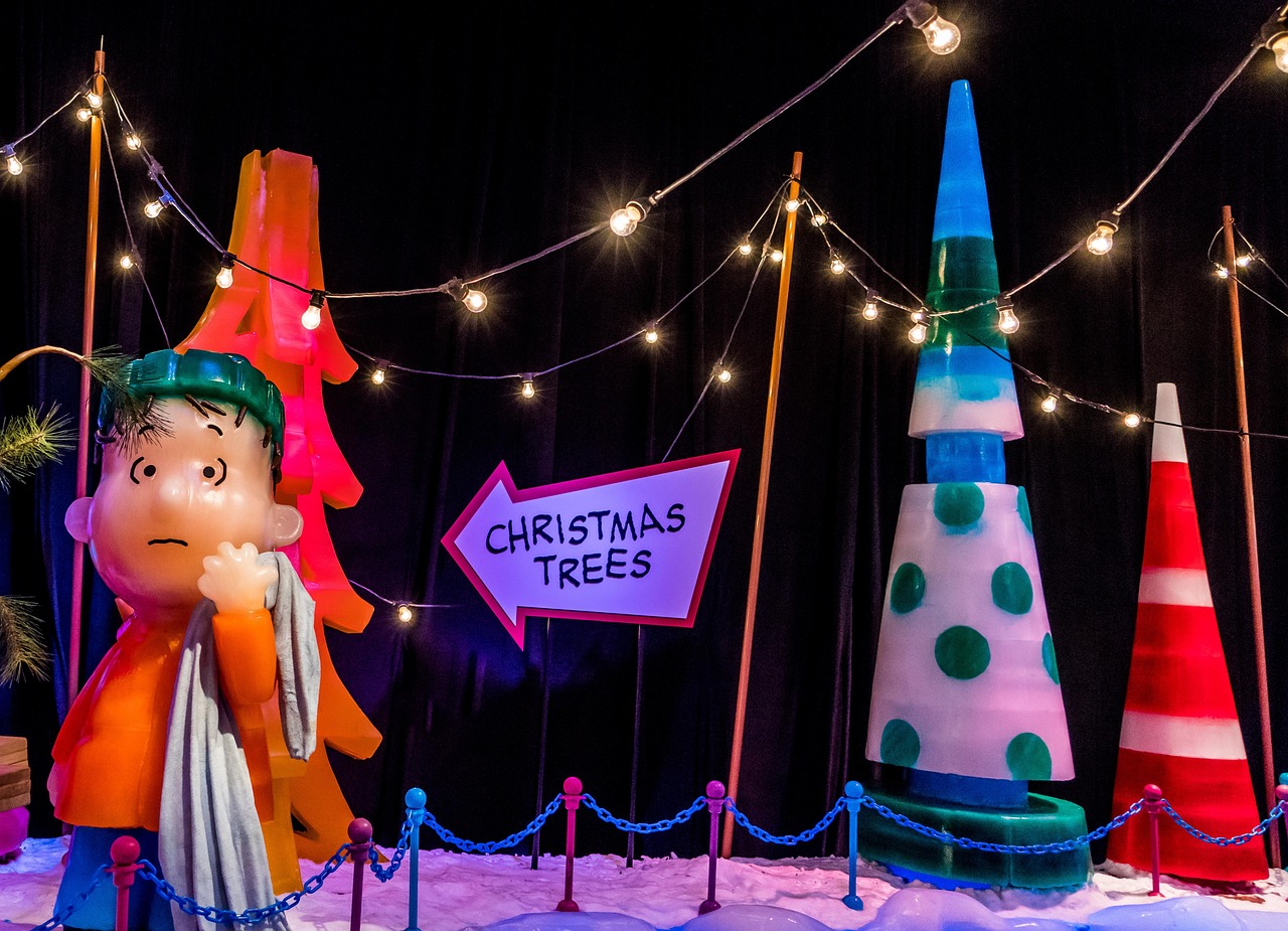 2017社会纵横全新节目展望，启程未来，深度解读社会热点事件与趋势