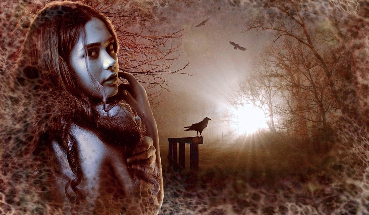 探寻神秘世界的奇幻之旅，龙图卷集最新章节