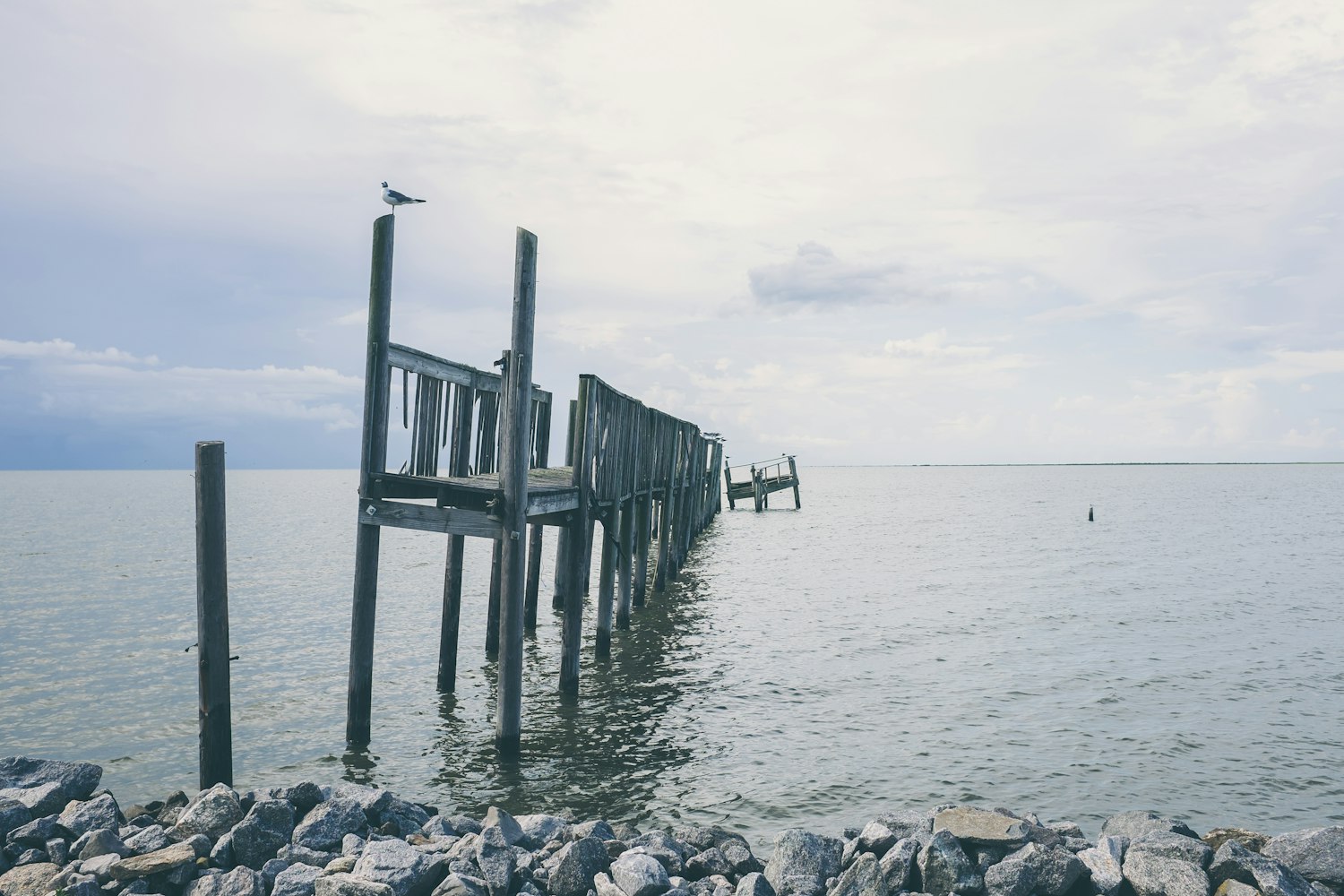 最新咖啡股票动态,市场趋势、投资机会与挑战解析