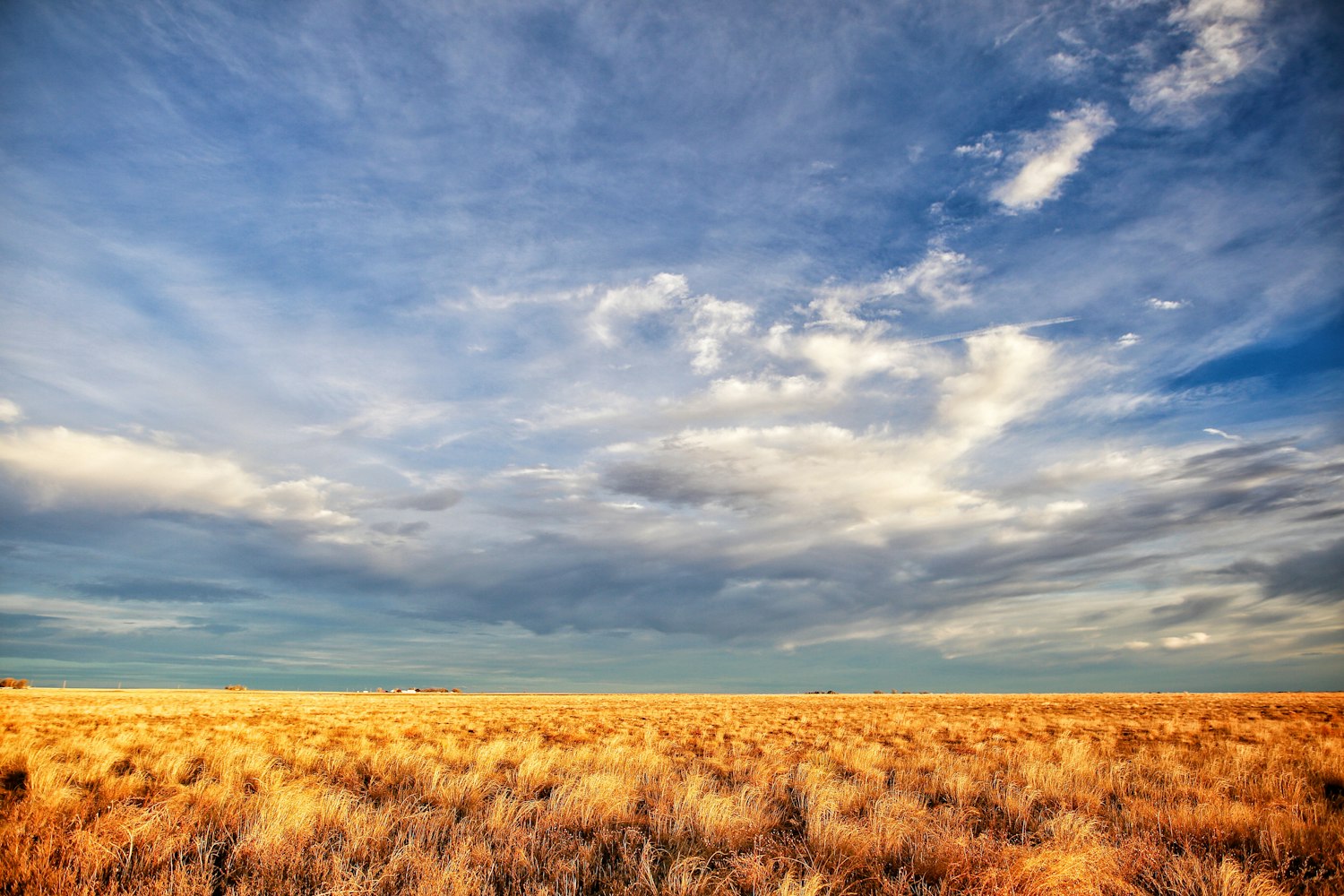 最新丰收图片大赏,探索丰收之美的壮丽景象