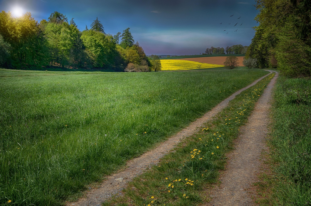 南部山区拆违动态更新,持续推进共建美好家园新篇章