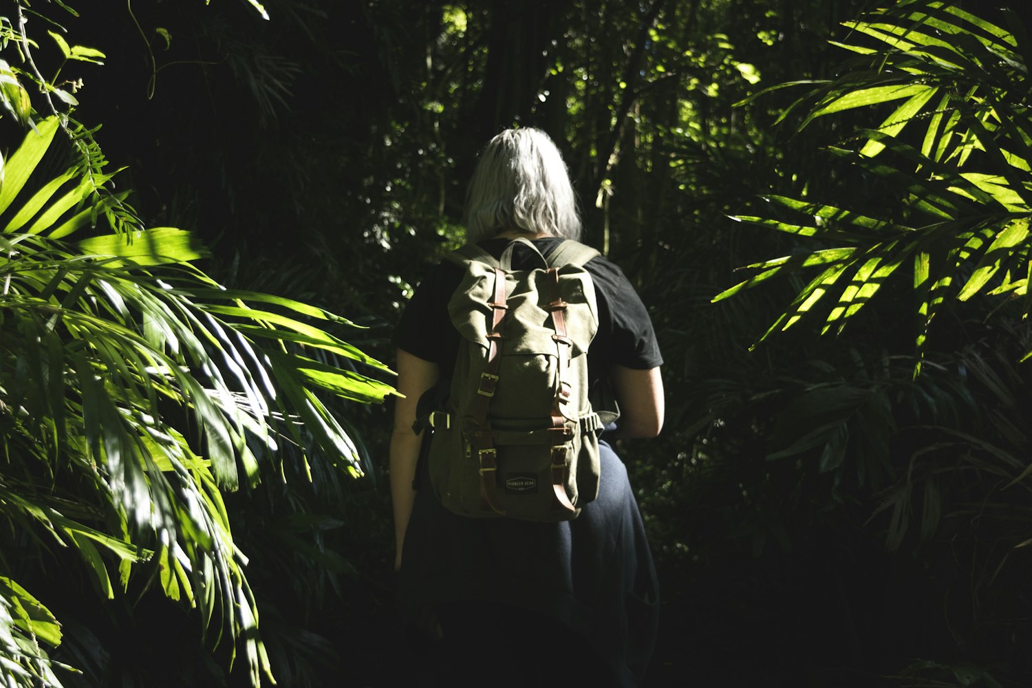 王欧明道最新动态揭秘,多元领域探索,展现无限可能风采