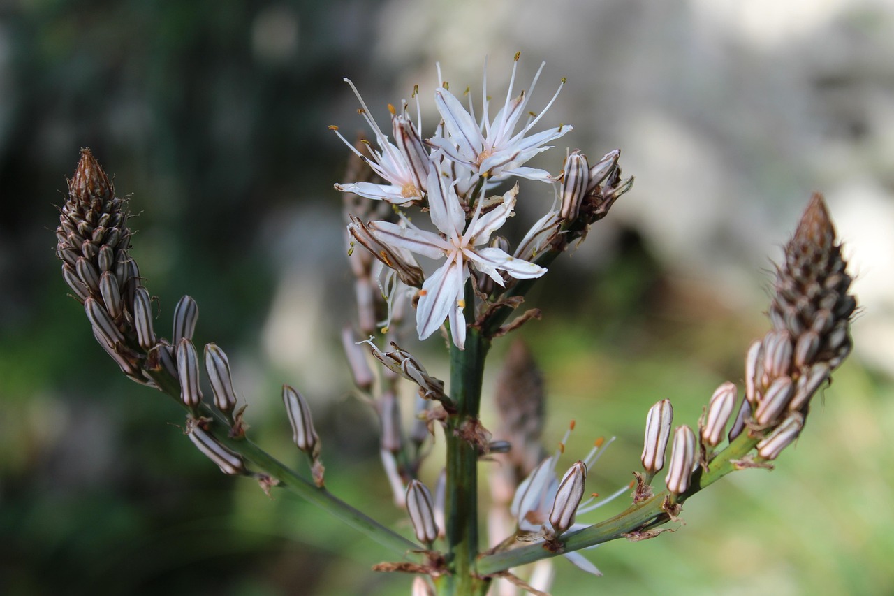 台湾最新疫情动态,全面应对,守护家园安全