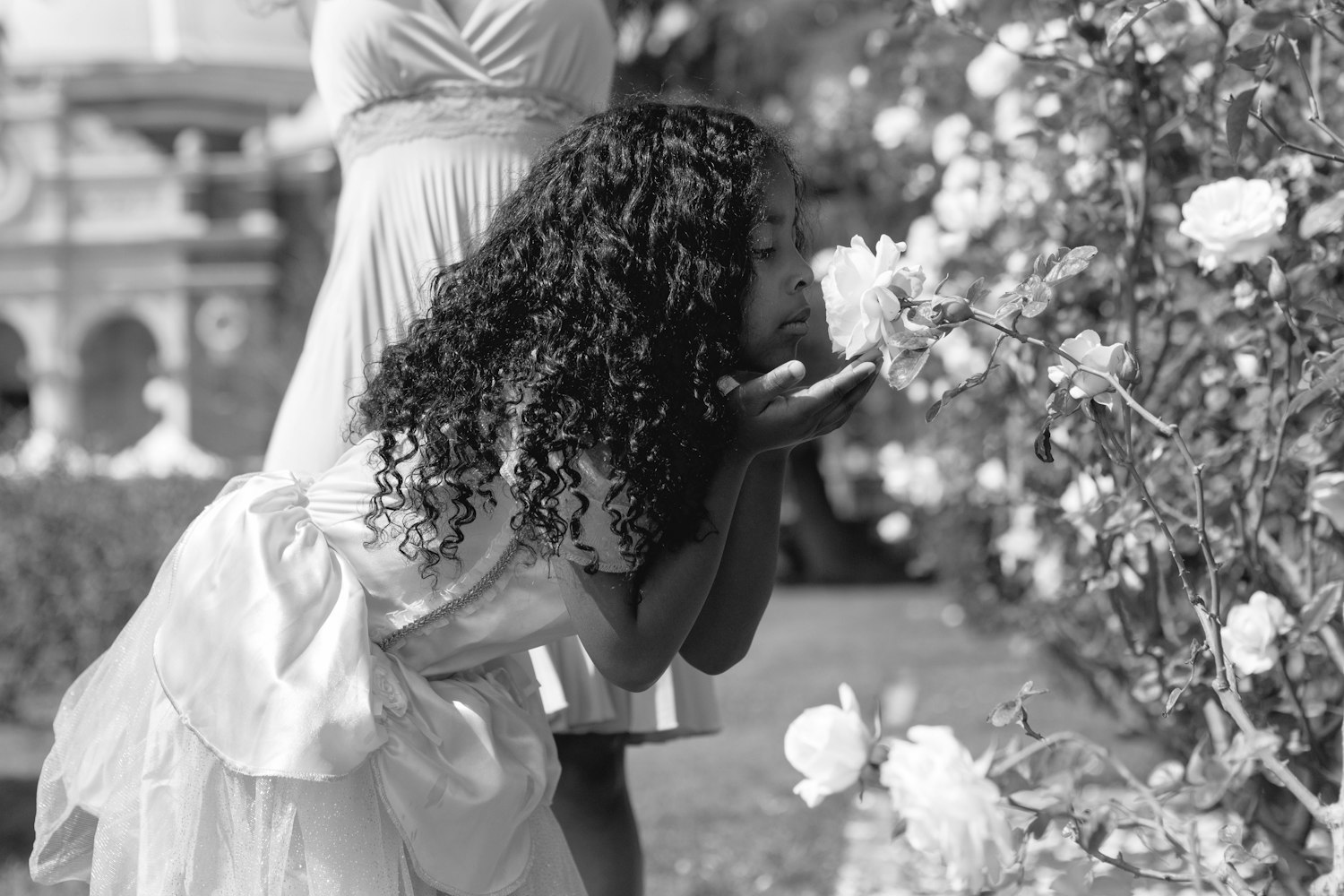 逆境中的坚韧与真实,明星遭遇黑料的心酸历程