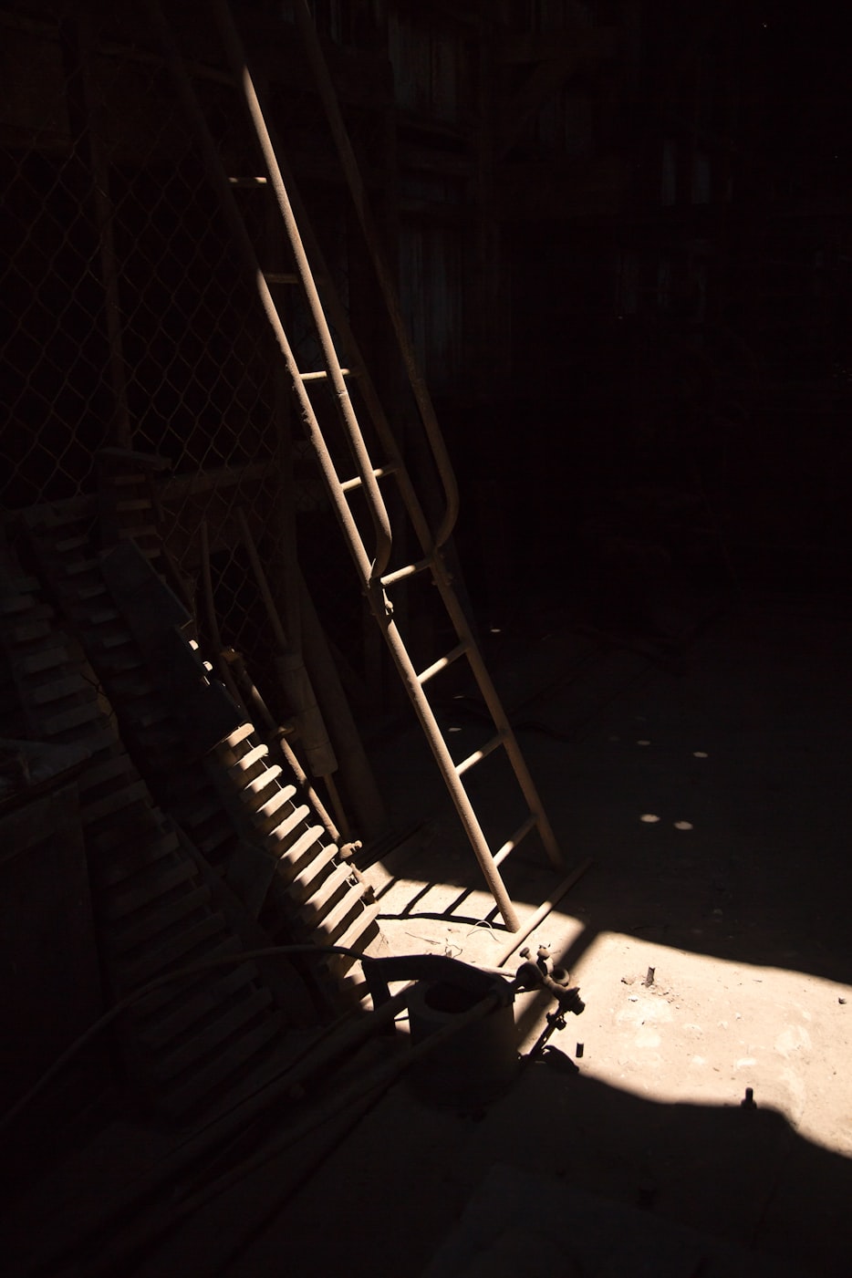 黑白最新篇章,揭开未知世界的神秘面纱