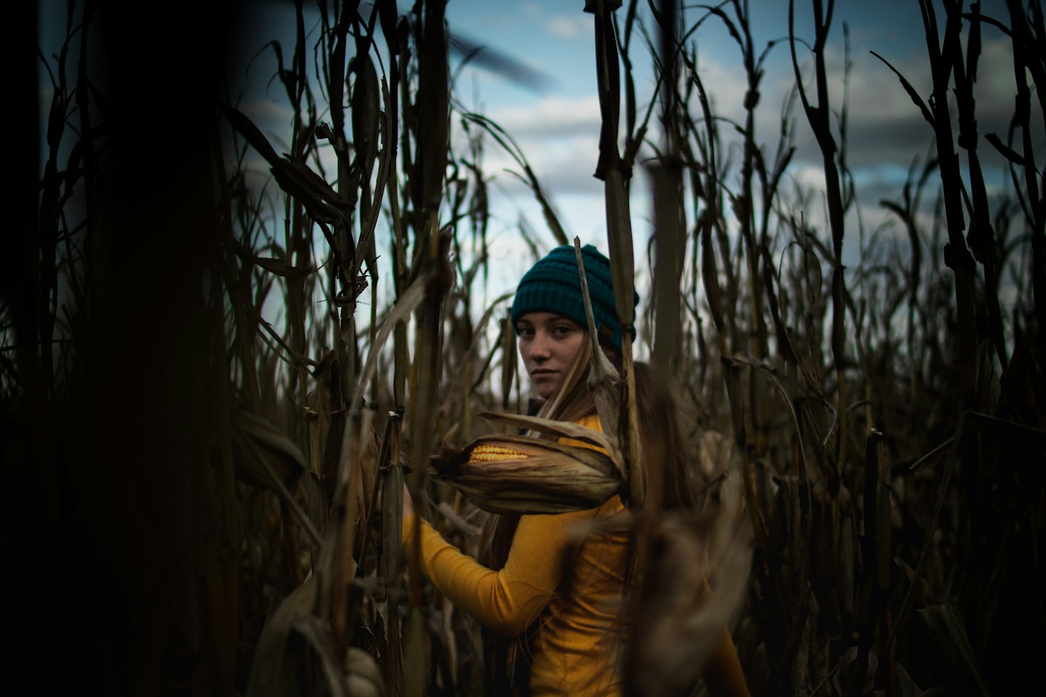 数字时代成人娱乐新领域,成年电影在线观看探索