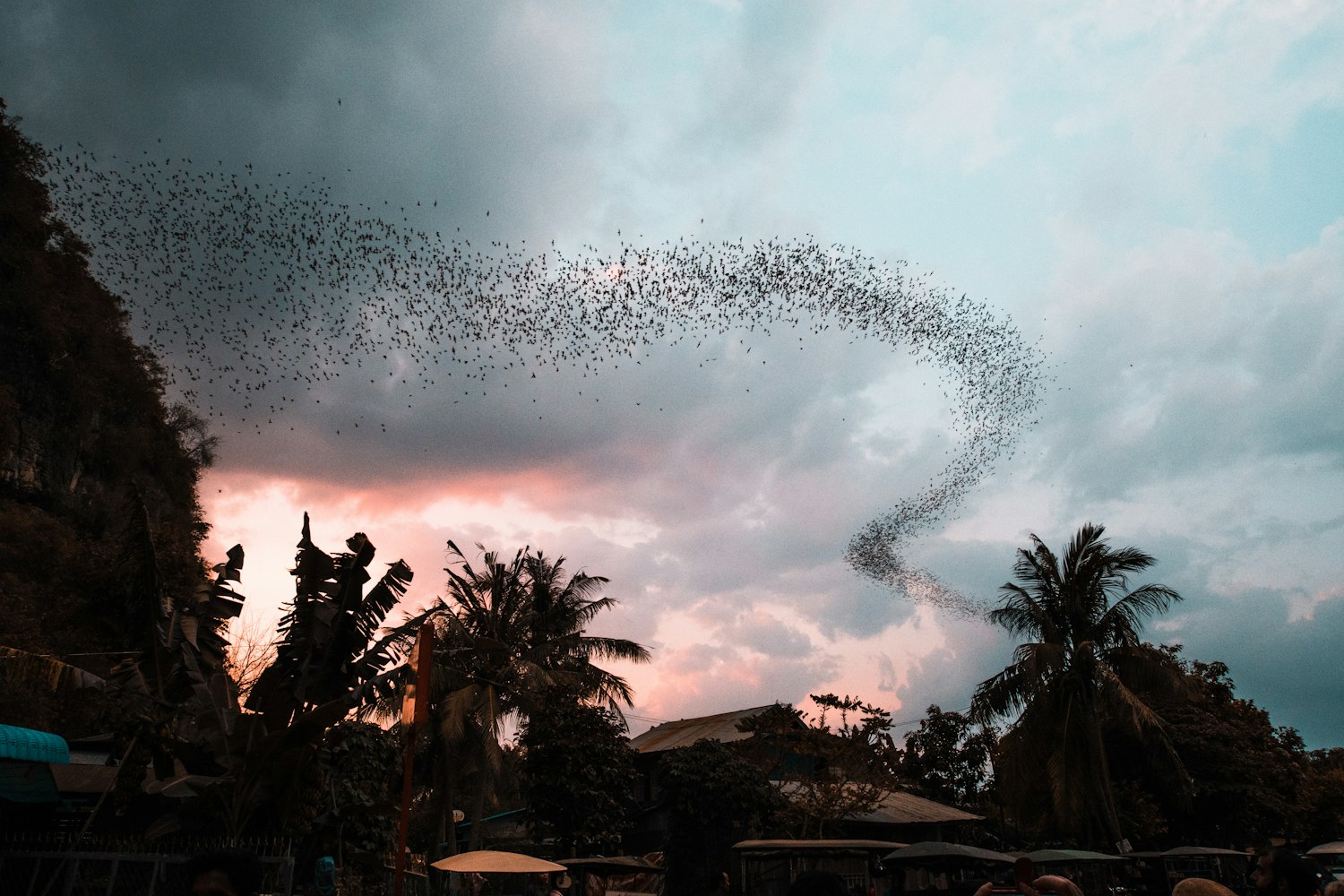 动漫壁纸探索,唯美世界的极致魅力与全新境界