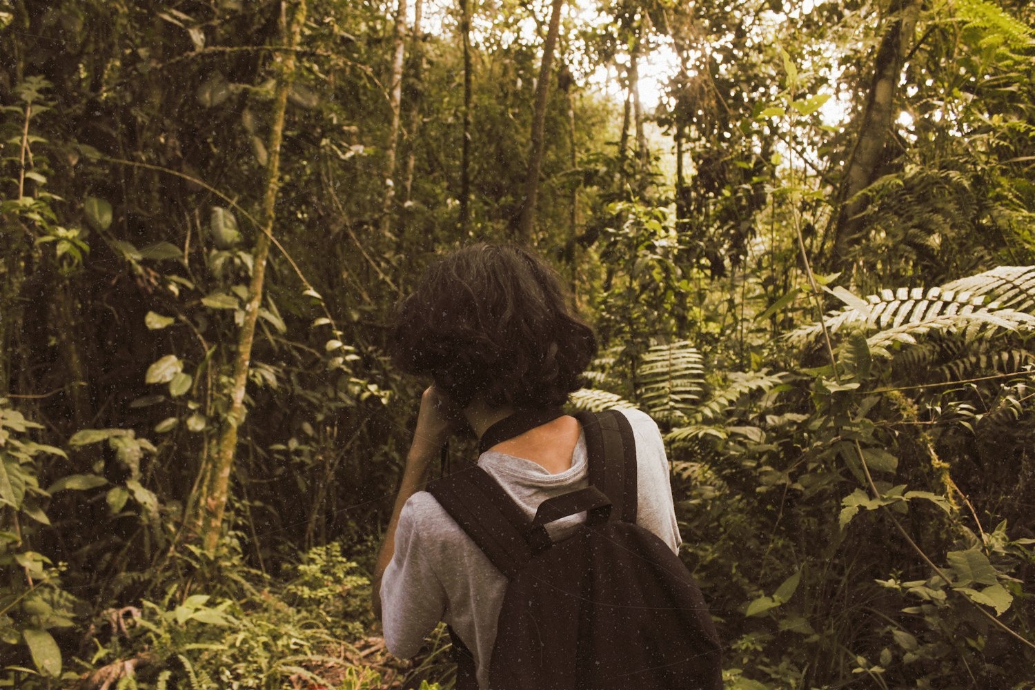 动漫壁纸探索,唯美世界的极致魅力与全新境界