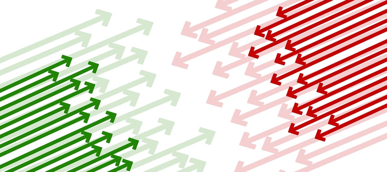 草鱼市场最新价格动态及分析摘要