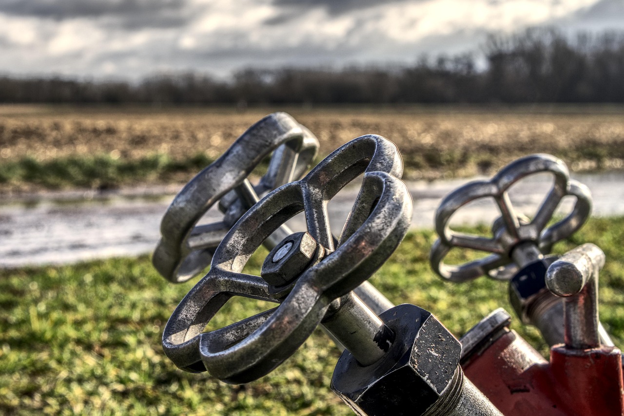 聊城于欢的成长与变迁,最新动态探寻他的发展轨迹