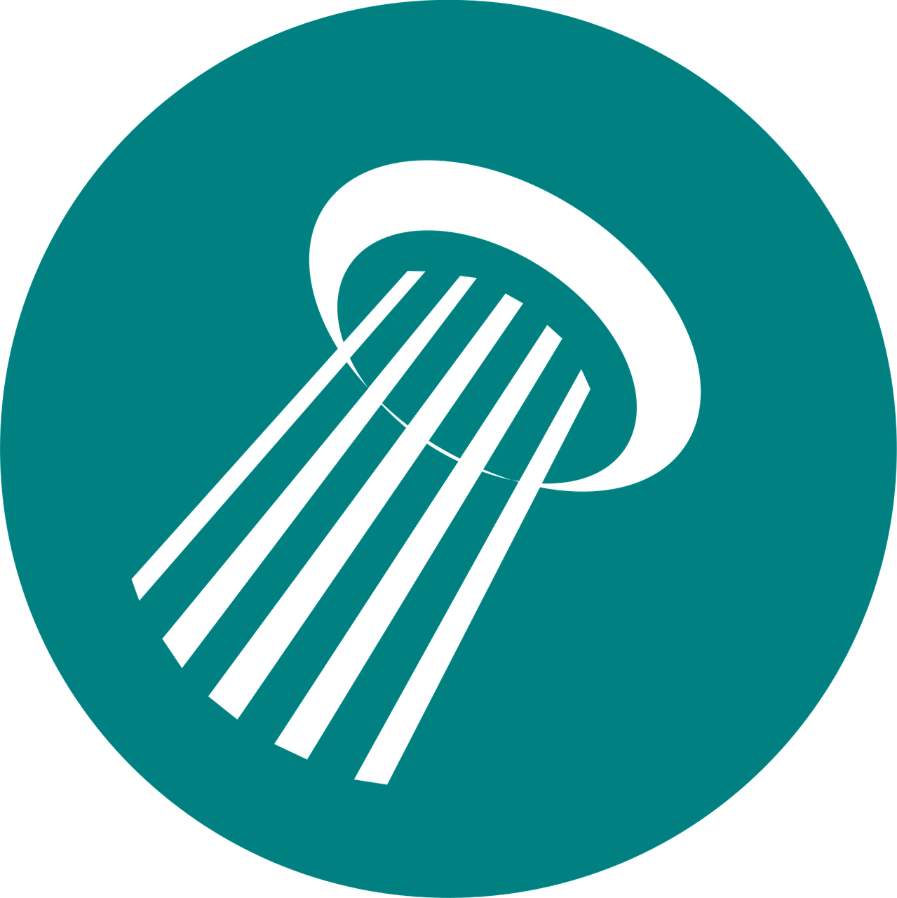 航运在线最新船员职位招聘,探索海洋职业机遇的无限可能