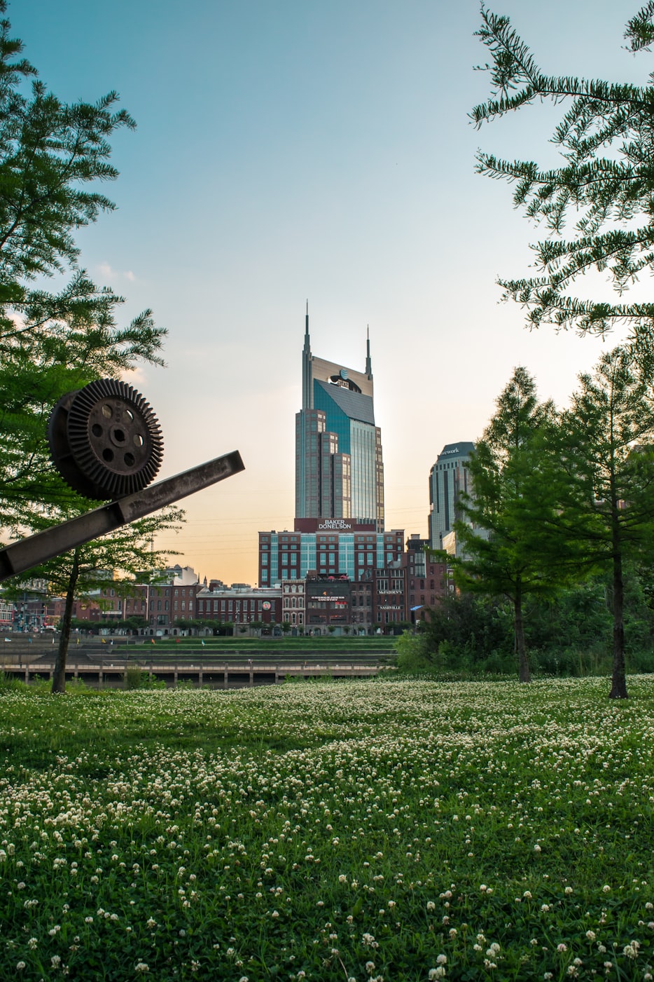 中粮上市,企业转型与资本市场的新篇章开启