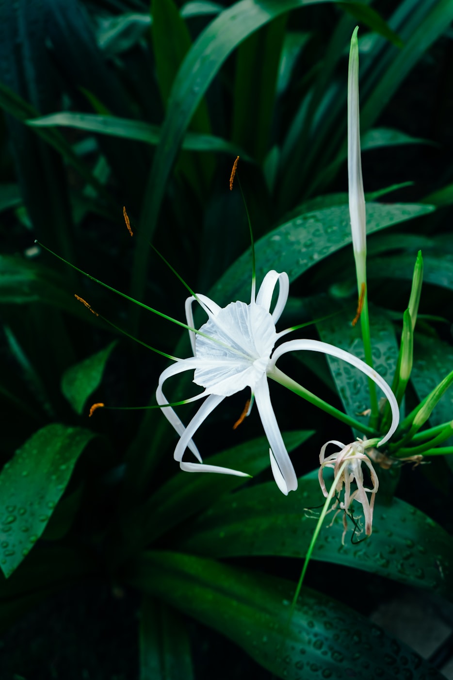 耒阳宏利尚城最新动态,引领城市发展的璀璨明珠,展现最新发展动态