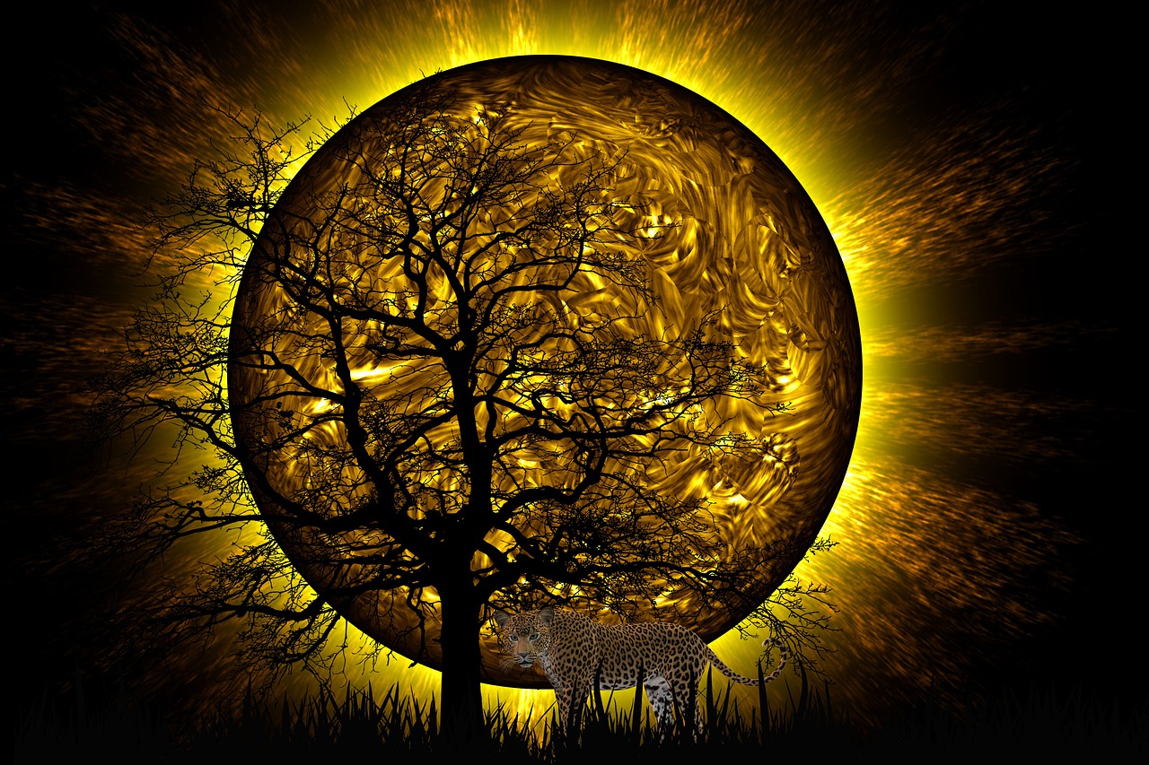 全国最新气象云图,解读与洞察天气变化的关键