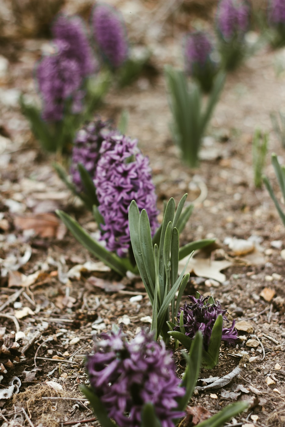 城发云锦城最新动态揭晓,未来城市生活的华丽序幕启动!