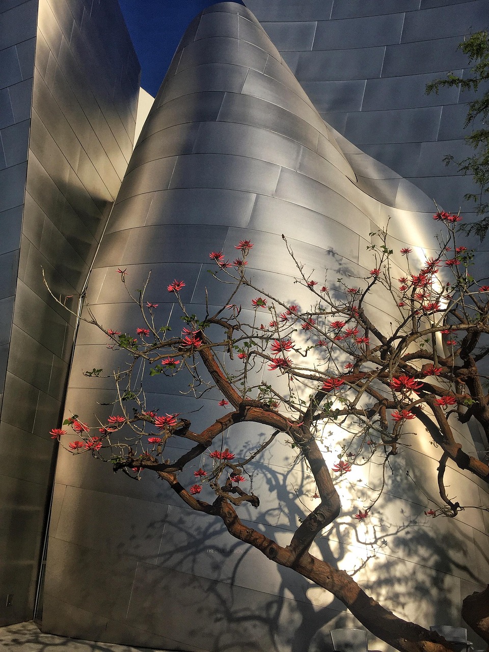 狂澜新篇章,探索未来的无限可能性