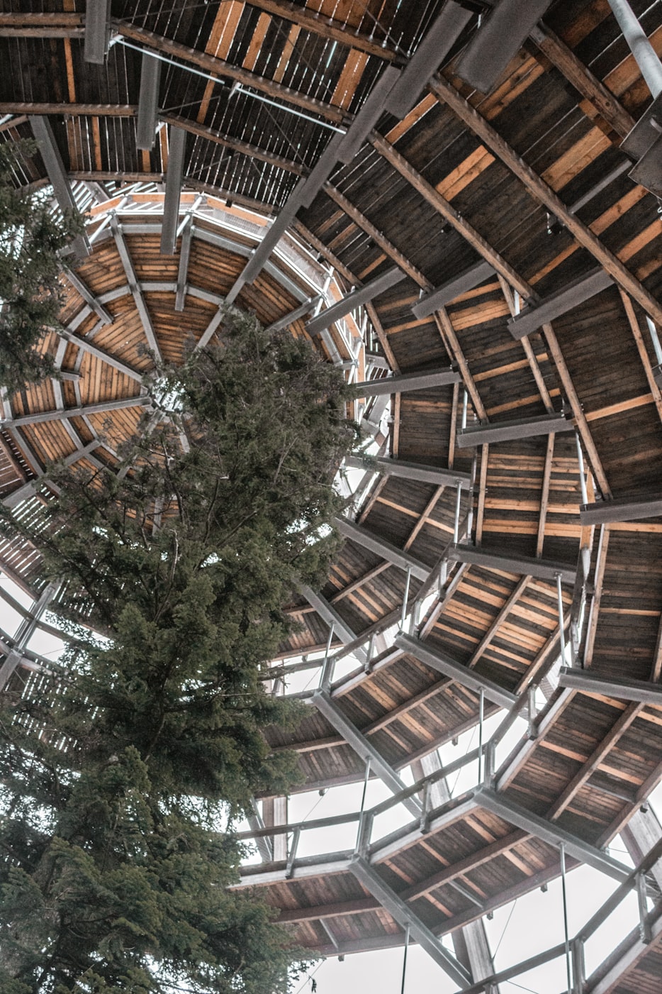 CL1024社区新址，重塑城市生活的起点