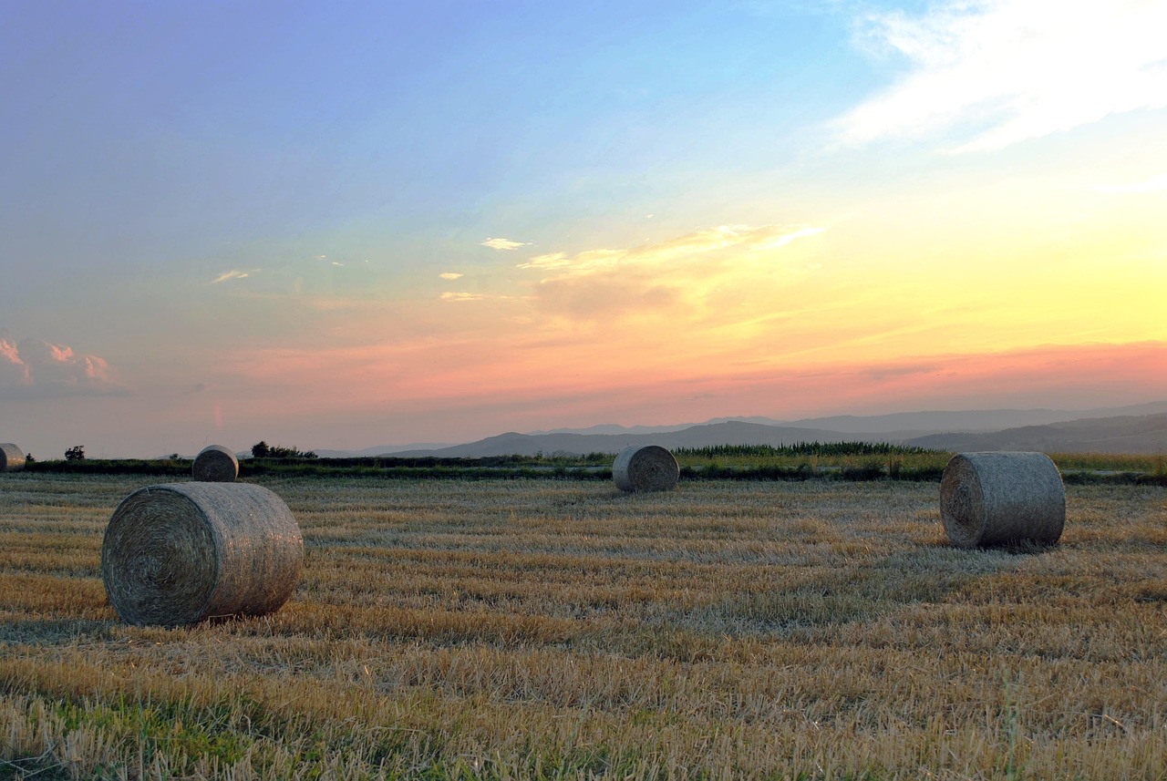 河北丰南并村最新动态,推进新型城镇化的关键步骤