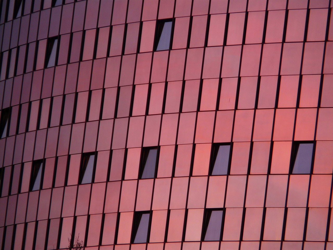 御宅屋新动态揭秘，现代宅文化的新趋势探索