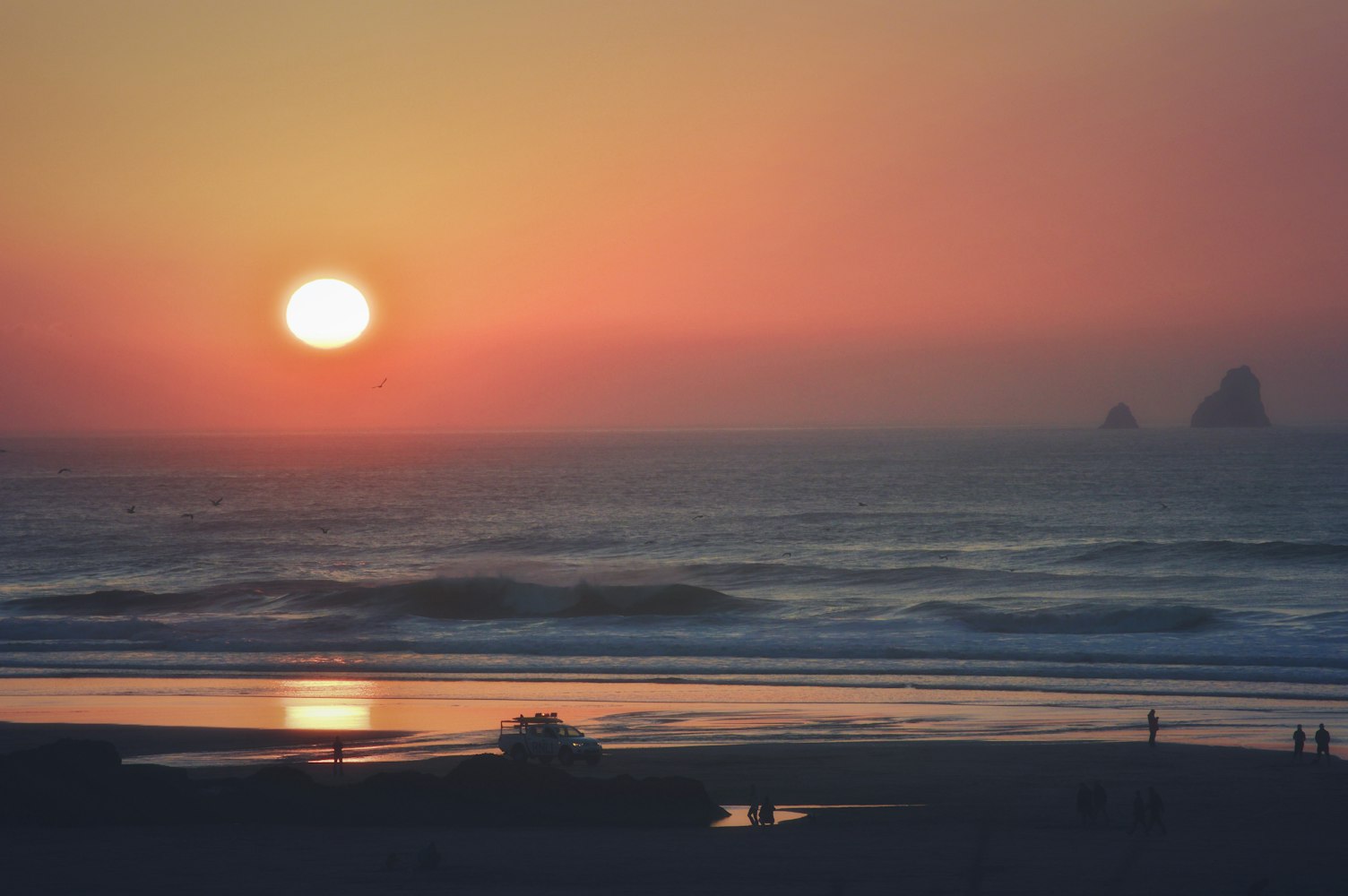 编程榜单更新揭秘，探索技术之巅的最新动态