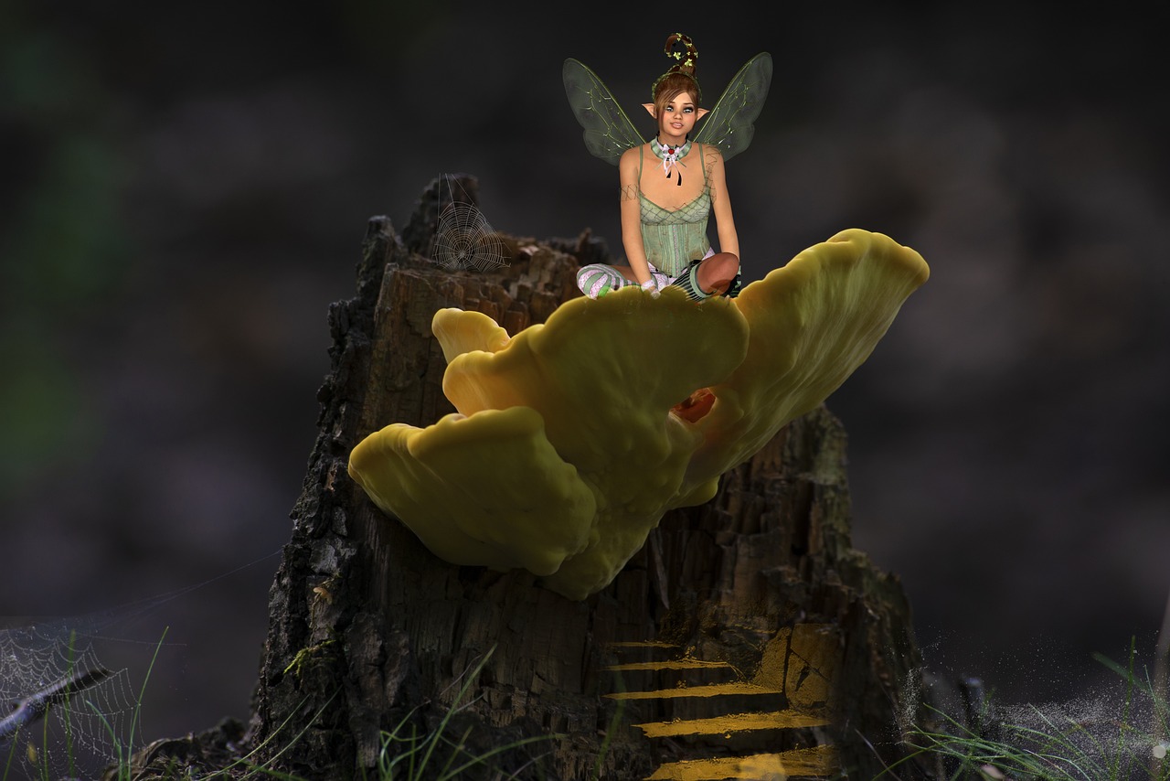 童话故事比赛获奖作品,梦想与创意的辉煌篇章