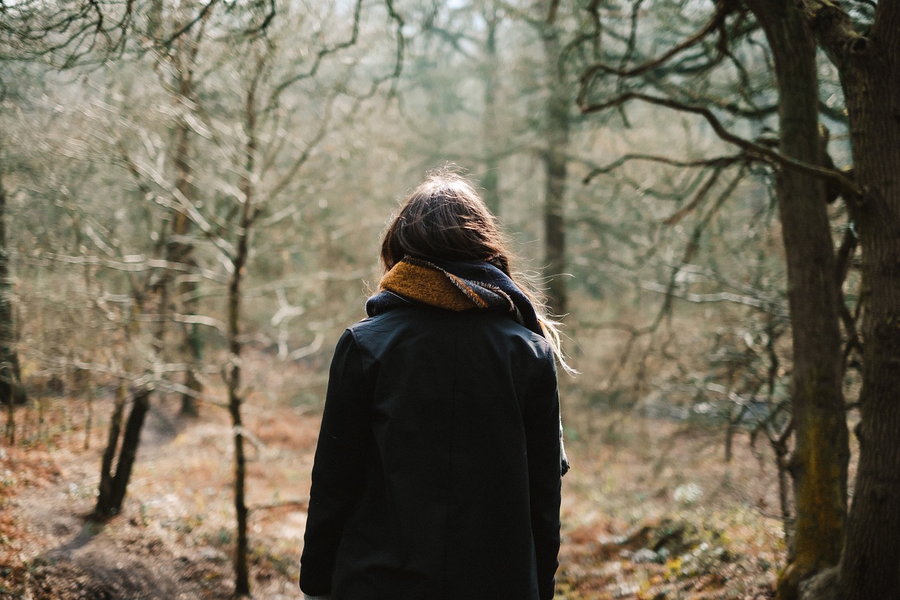 安徽阳光半岛蓄势待发,最新动态展望未来发展